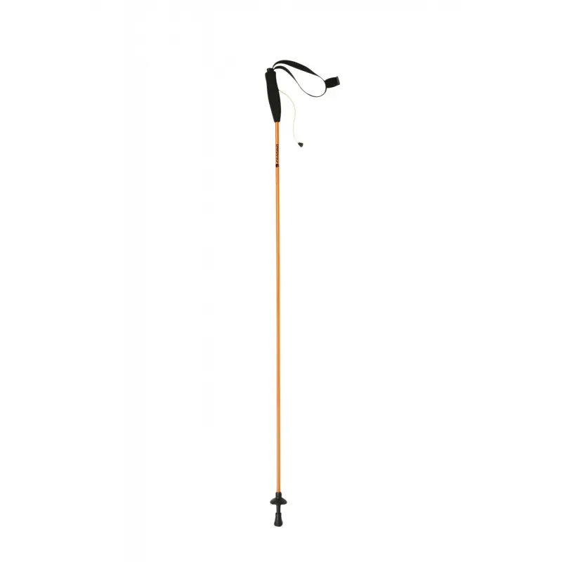 BASTONCINI EIGER CM.125 coppia