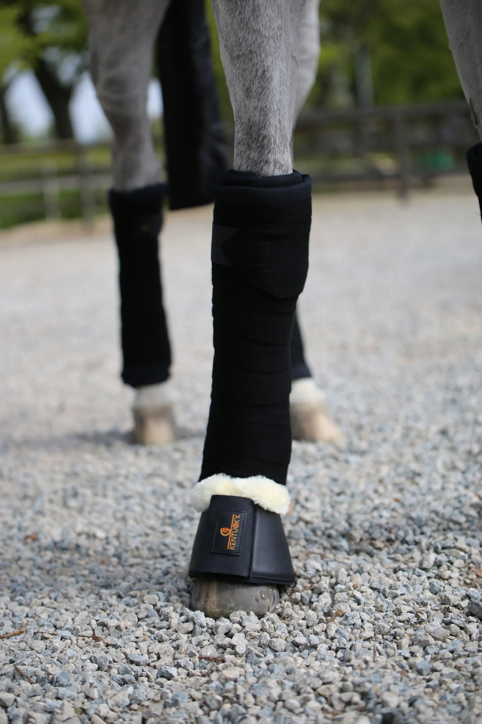 Bende in lana Kentucky Horsewear, set di 4