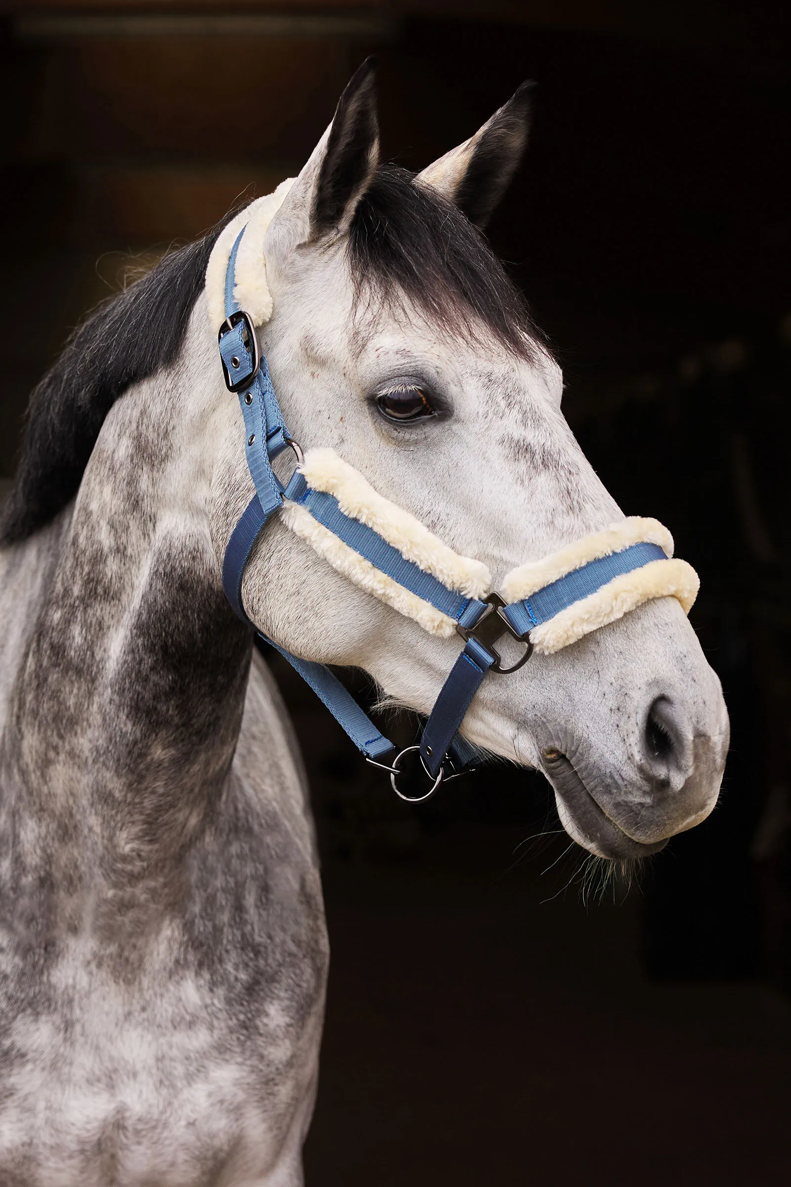Horze Cavezza Marquess con fodera in pelliccia sintetica